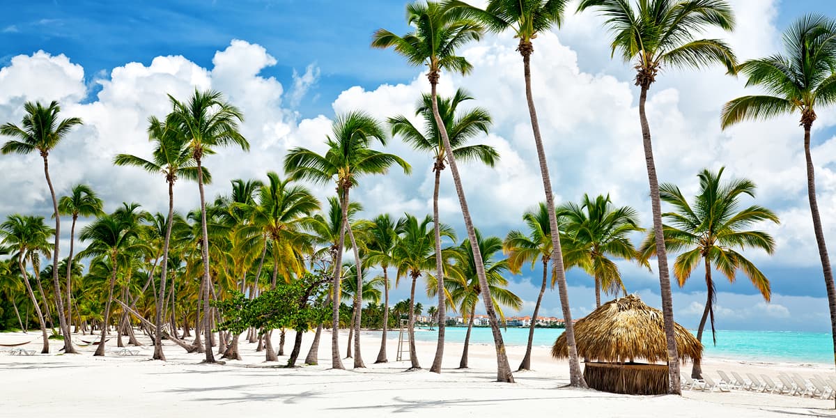 Cap Cana beach in the Dominican Republic, with white sand, palm trees, turquoise water, and serene tropical beauty. 