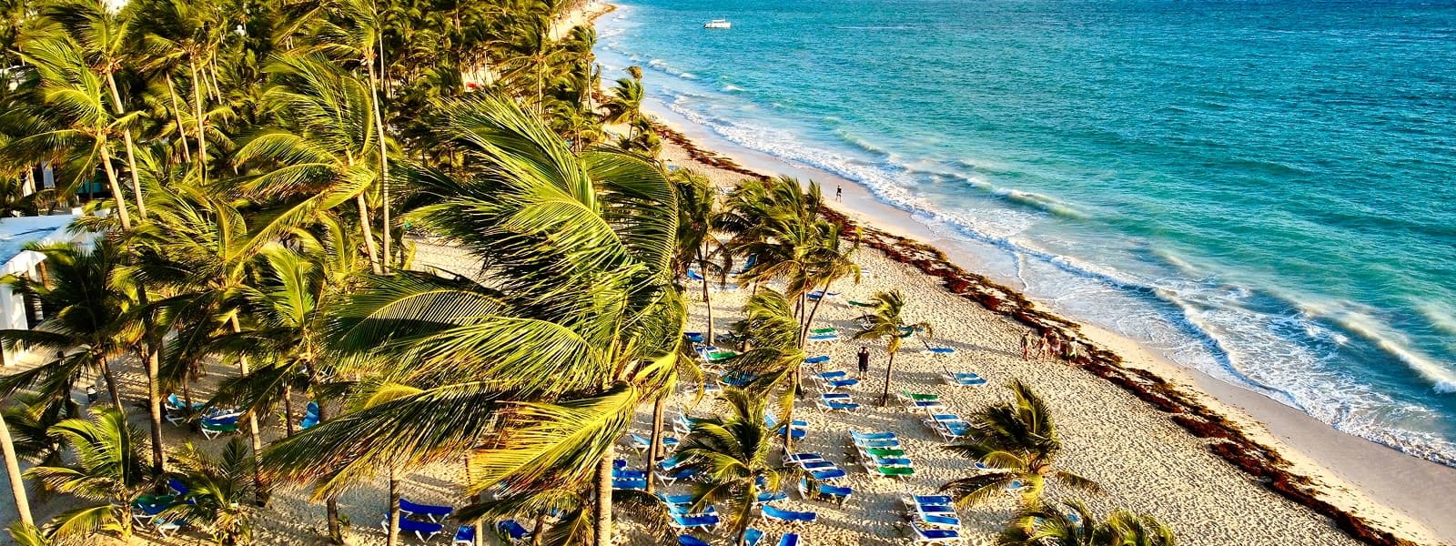 Punta Cana beach in the Dominican Republic, with swaying palms, white sand, turquoise water, and coastal beauty.
