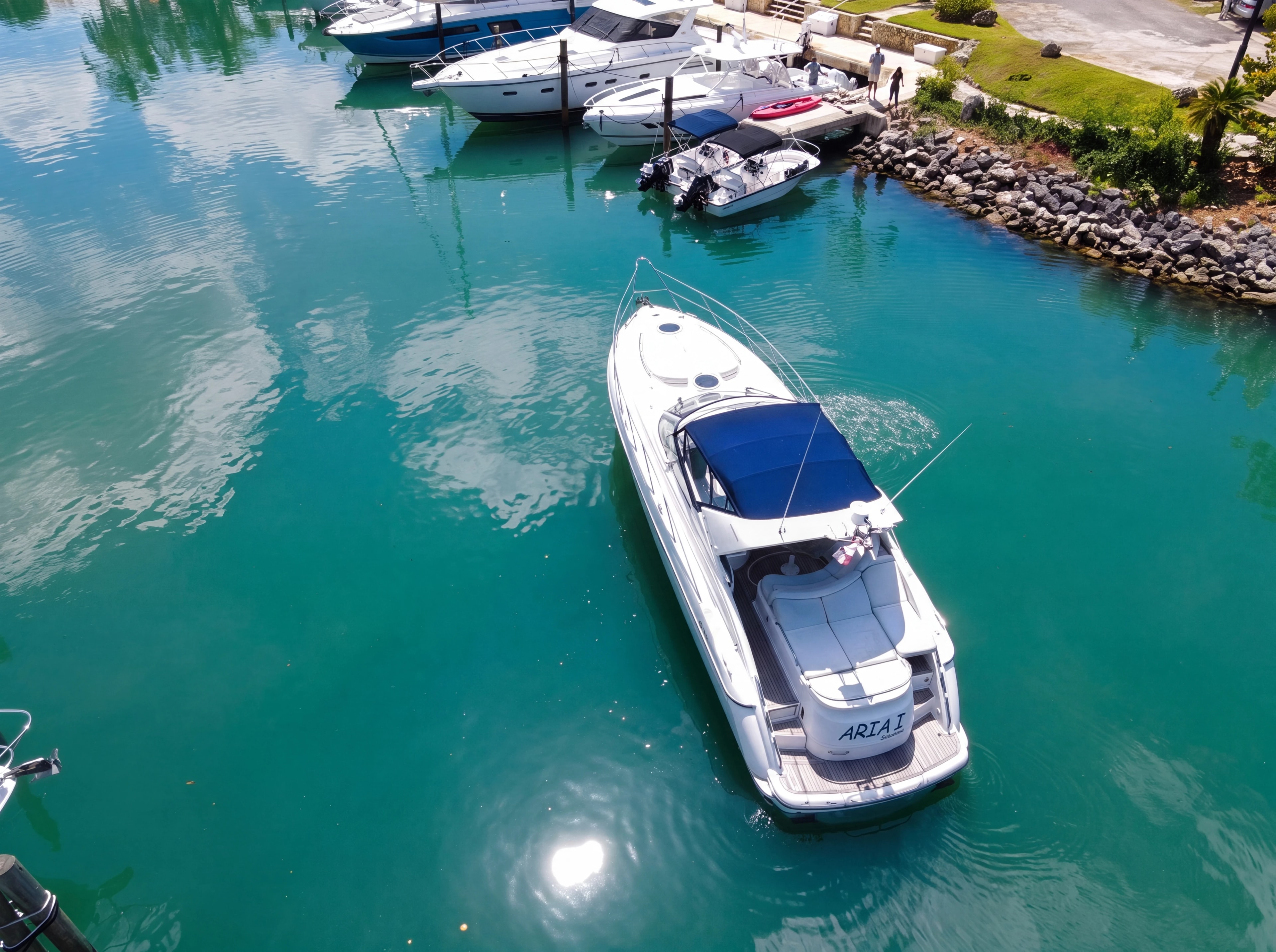 ARIA I private charter