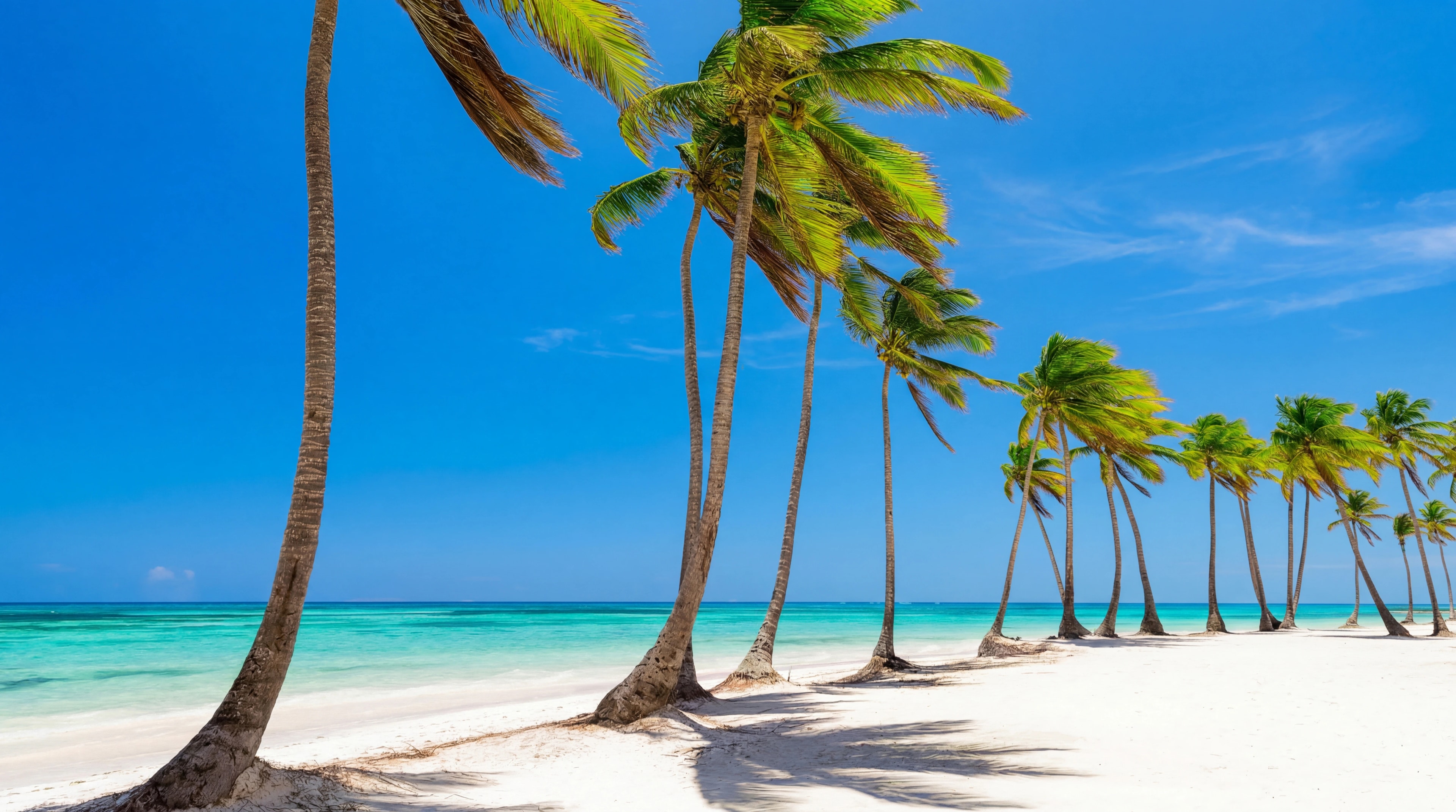 Marina-led lifestyle image associated with Cap Cana ownership