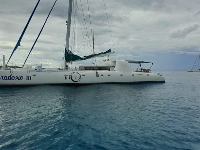 CATAMARAN PARADOX