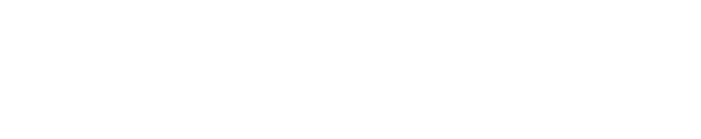 BARNES International